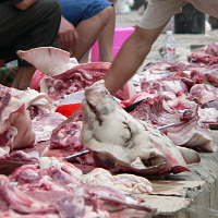 Meat Market
