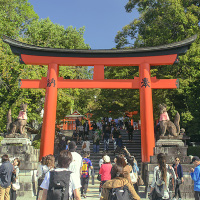Torii