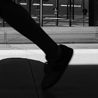 Museum of Natural History