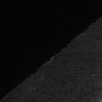 Museum of Natural History