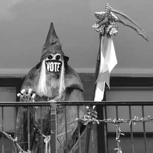 The Grim Voter