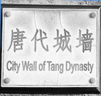 Tang Wall